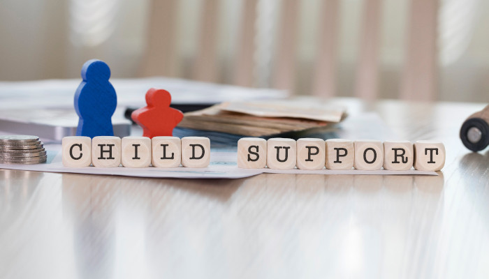what is child support supposed to cover