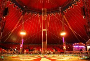 Niles Garden Circus, Entertainment, Family Fun, Magical Experience, Circus Performances